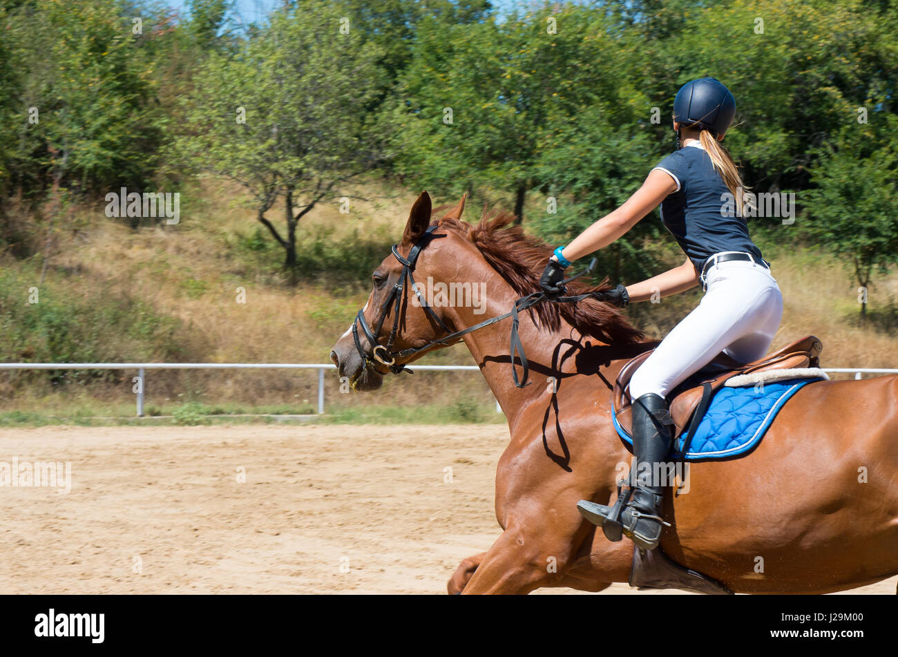 Entertainment with horseback riding. Horse ride at leisure Stock Photo