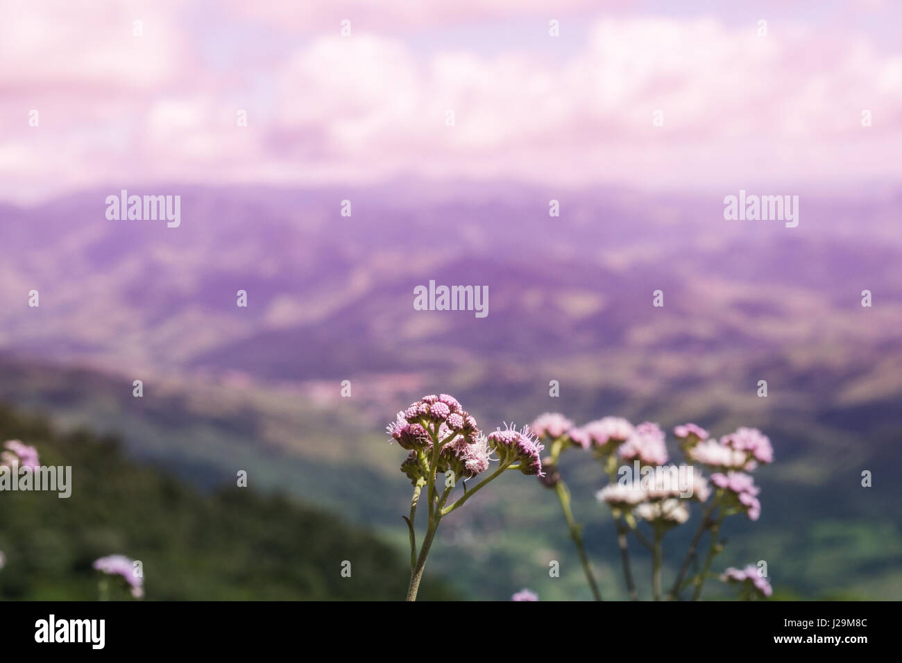 Landscapescenery hi-res stock photography and images - Alamy