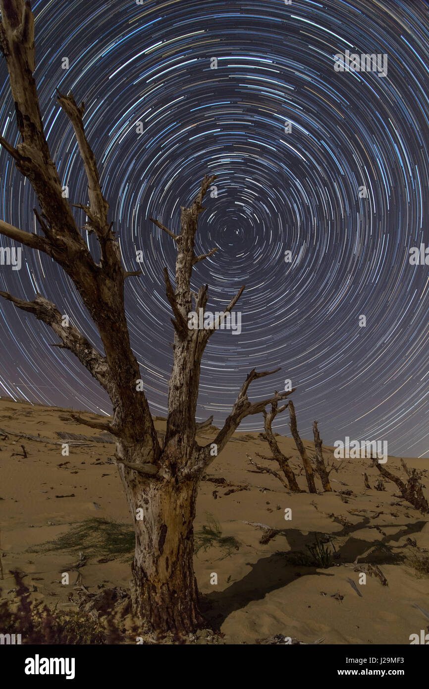 Polaris star hi-res stock photography and images - Alamy