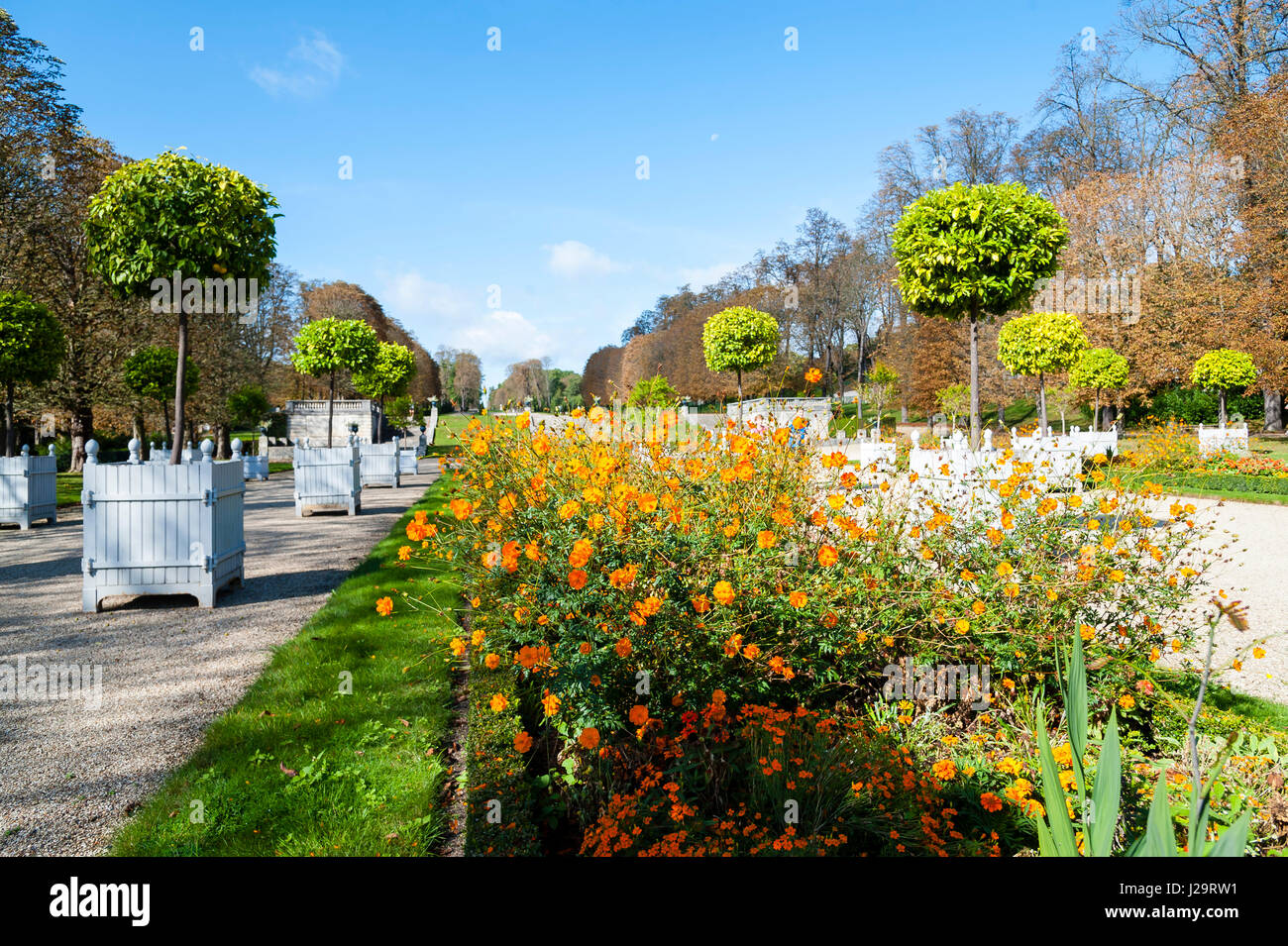 France,HautsdeSeine, Saint Cloud, Parc de SaintCloud Stock Photo Alamy