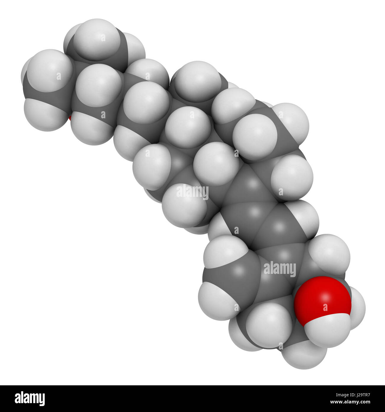 Calcifediol (calcidiol, 25hydroxyvitamin D) molecule. Blood marker of
