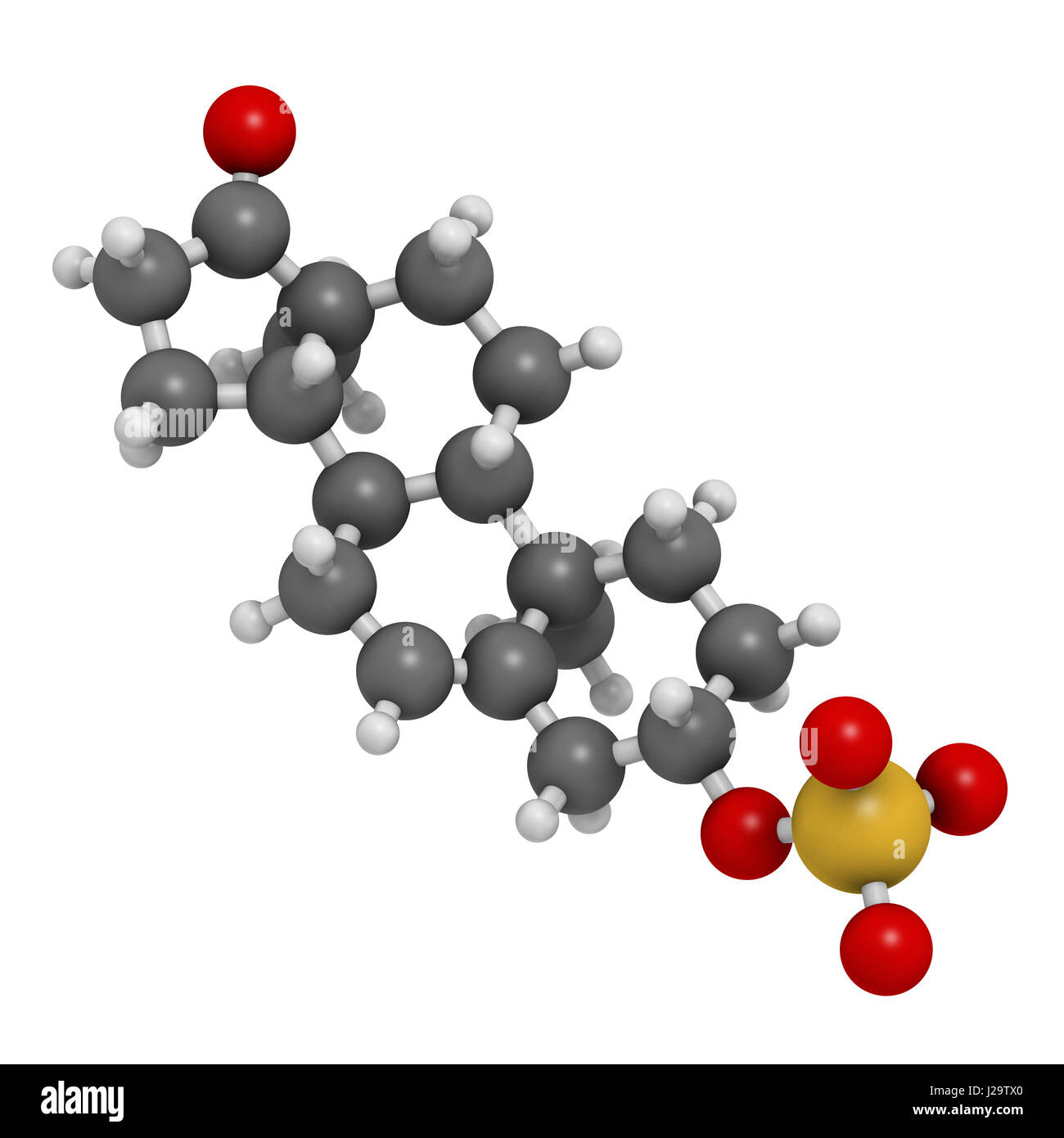 Dehydroepiandrosterone sulfate (DHEAS) natural hormone molecule. 3D