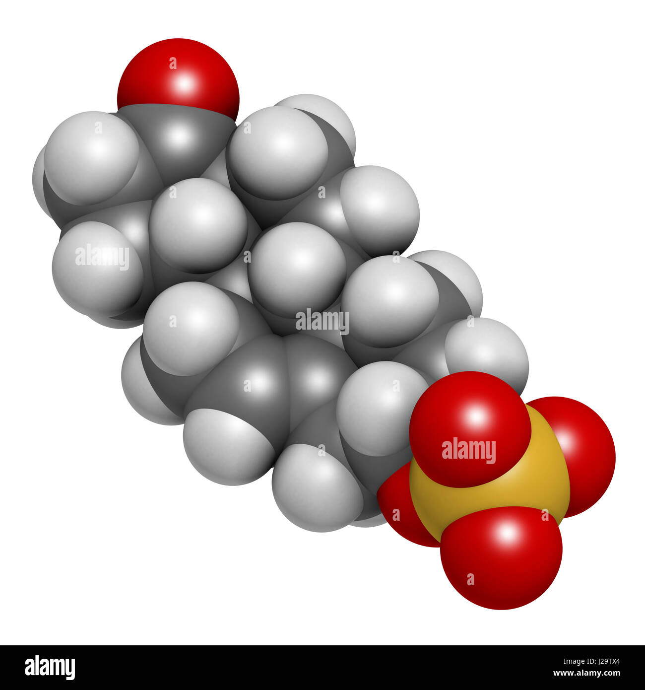 Dehydroepiandrosterone sulfate (DHEAS) natural hormone molecule. 3D rendering. Atoms are