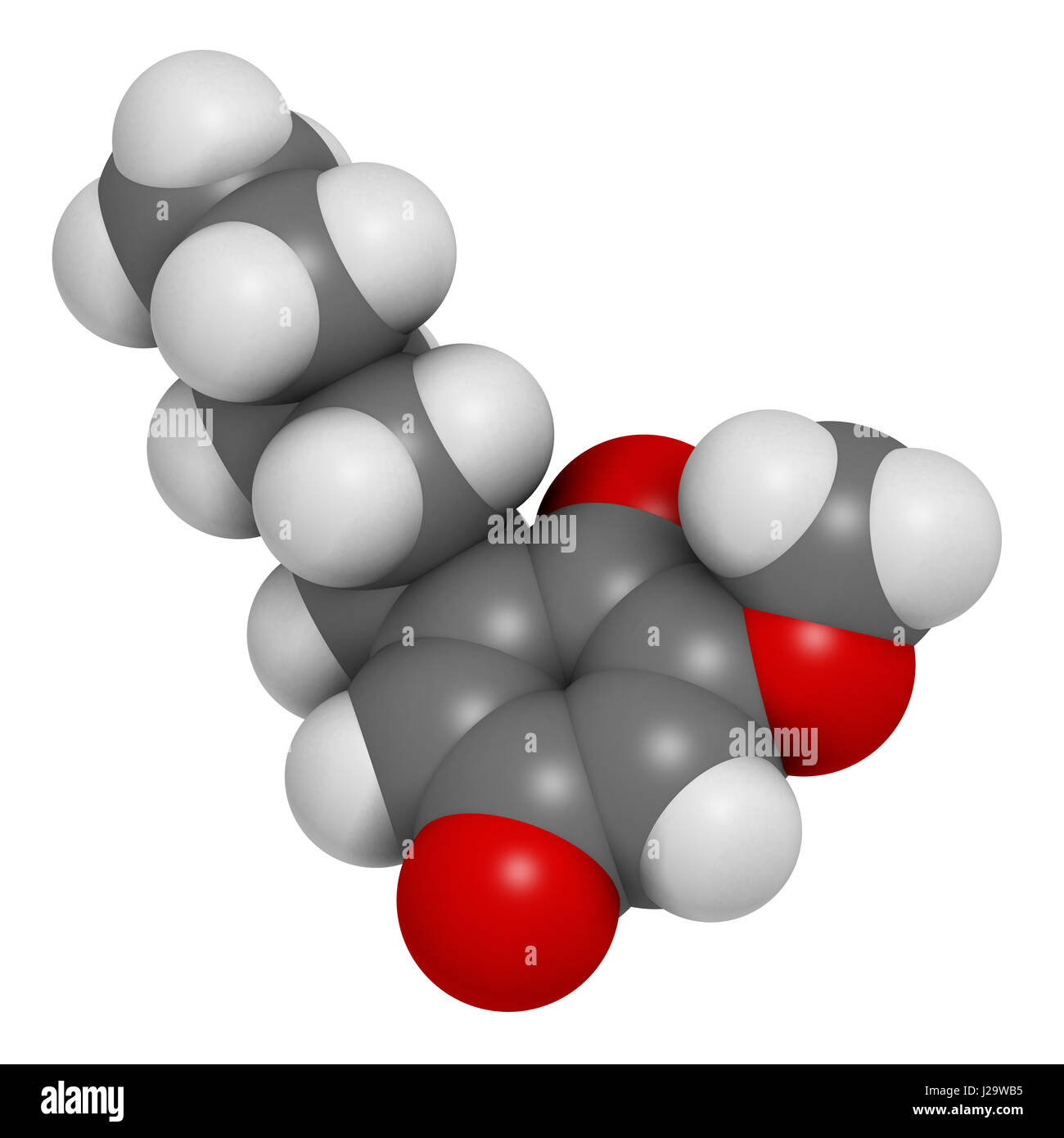 Primin primrose plant allergen molecule. 3D rendering. Atoms are represented as spheres with conventional color coding: hydrogen (white), carbon (grey Stock Photo