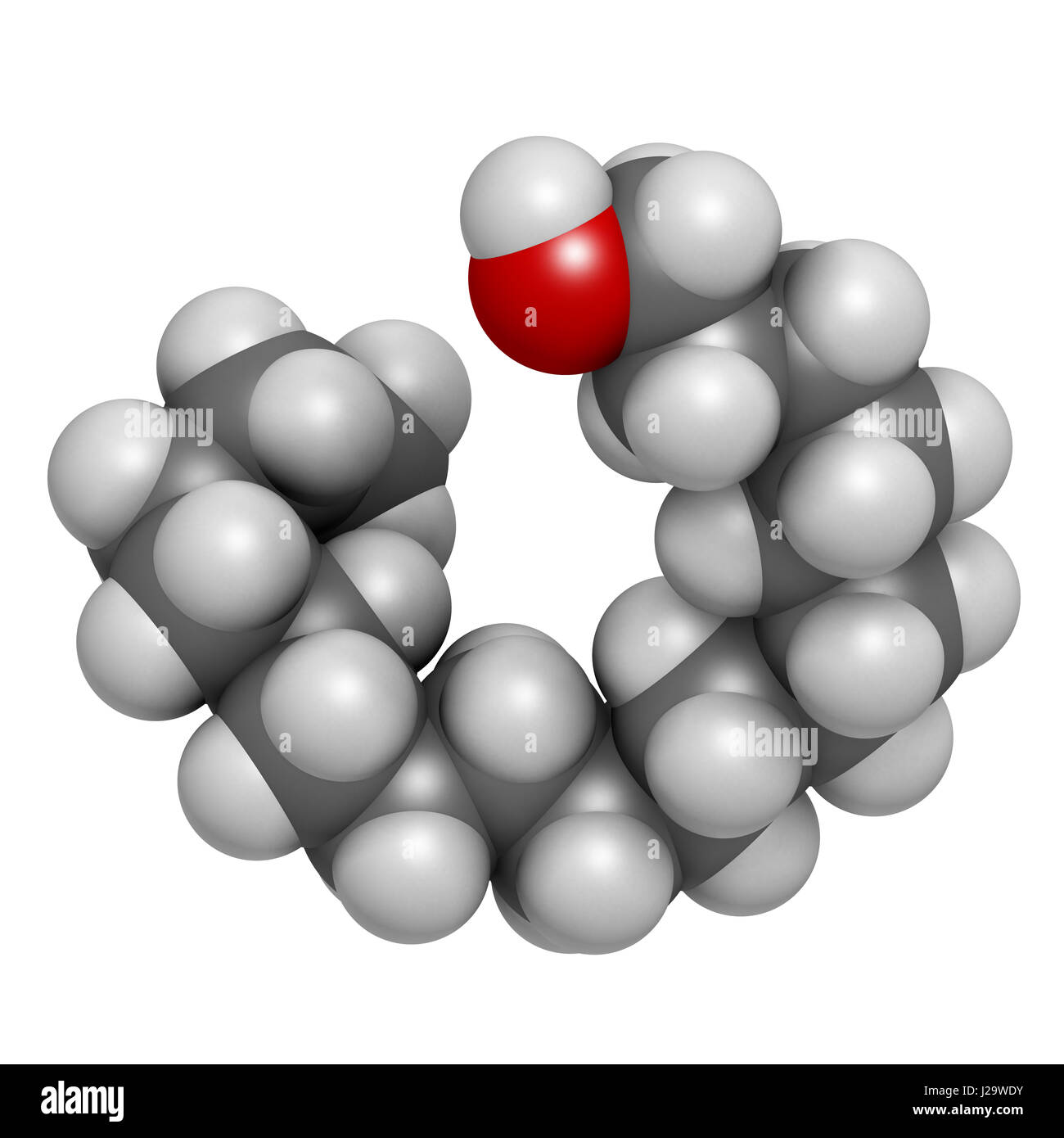 Stearyl Alcohol Molecule Constituent Cetostearyl Alcohol Stock Vector  (Royalty Free) 2062166291