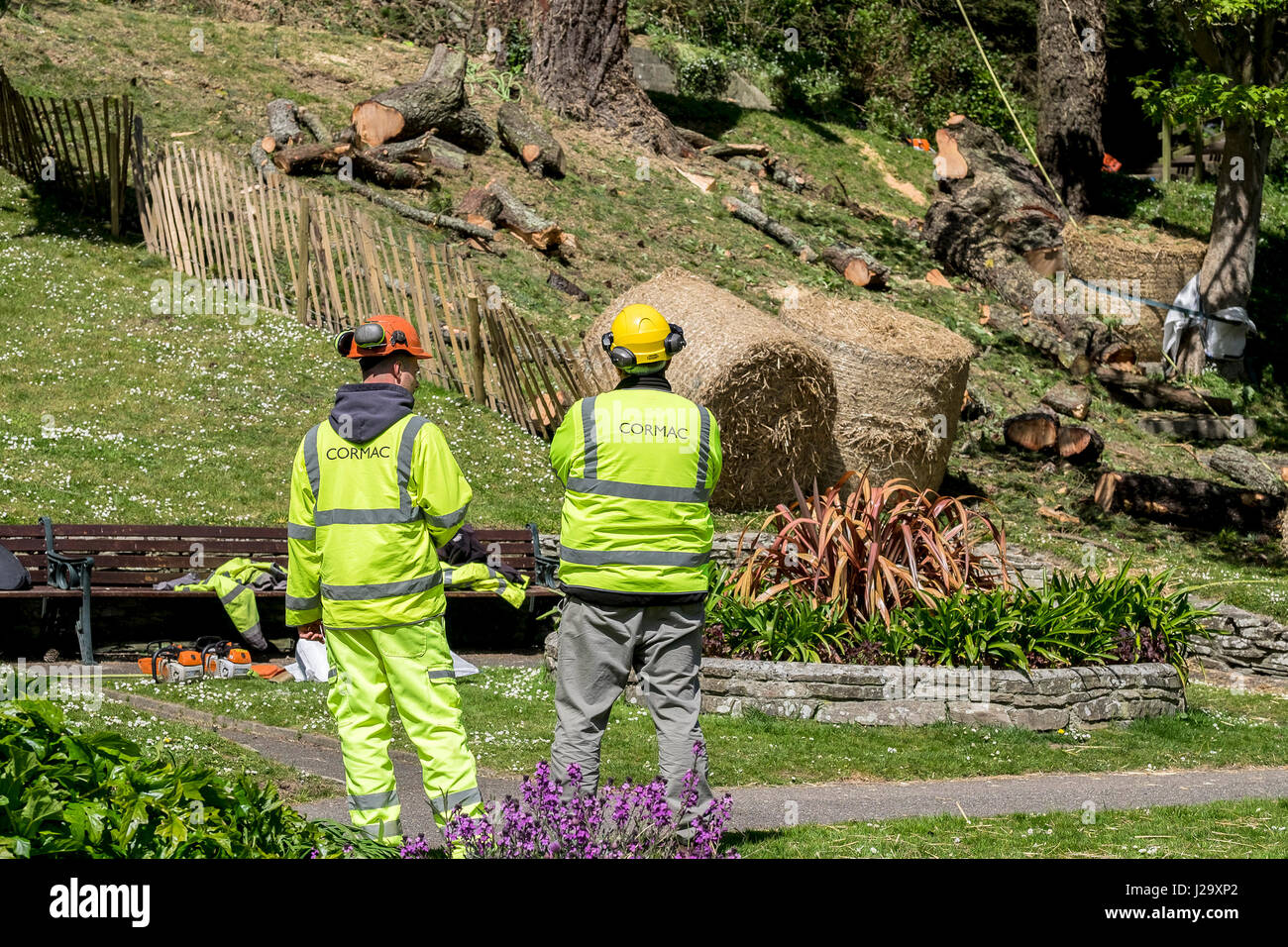 Cormac Workers Safety workwear Protective workwear Arboriculture Team Supervising Outside Hi-viz workwear Stock Photo