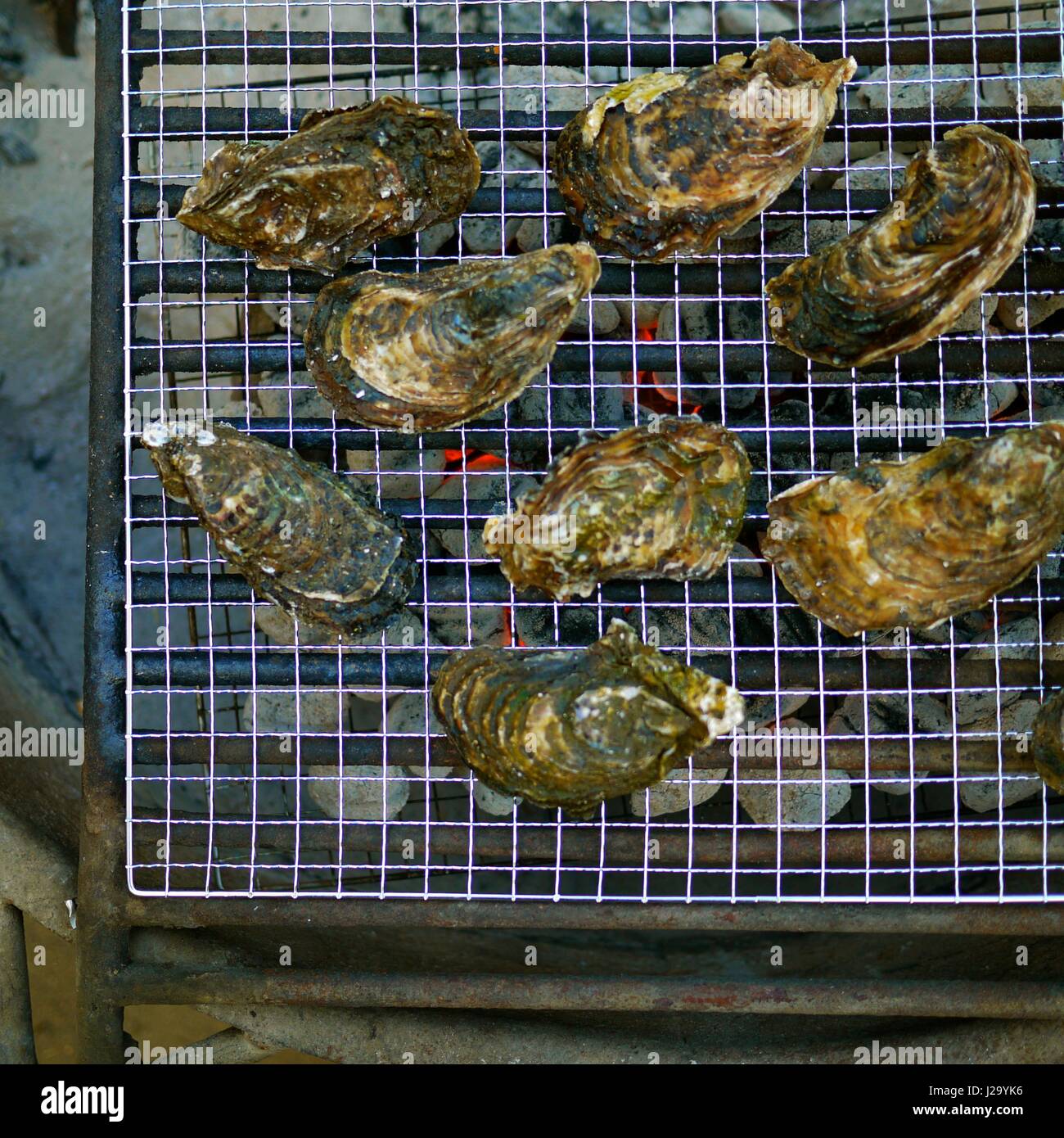 baking oysters Stock Photo