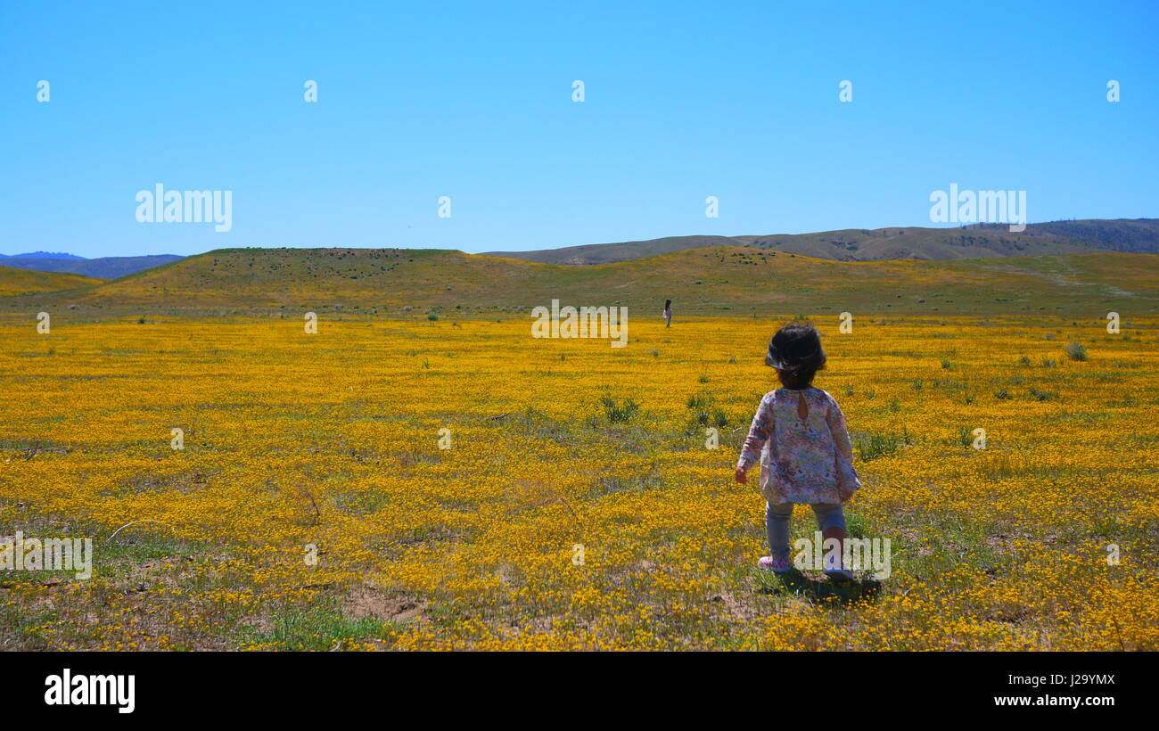 baby in the flower field Stock Photo