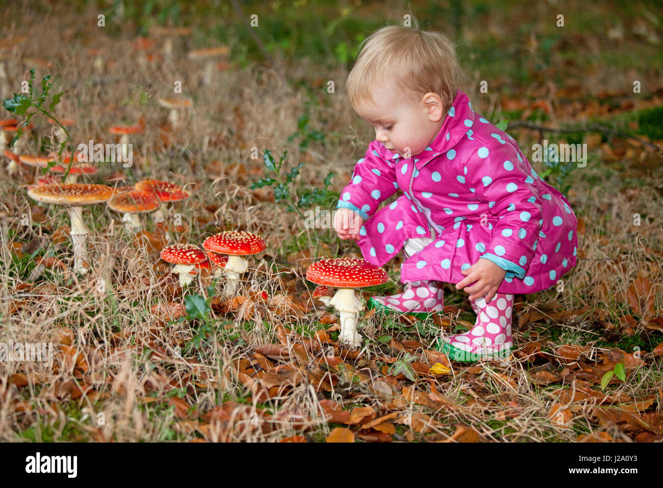 photo of a girl with fly agarics Stock Photo