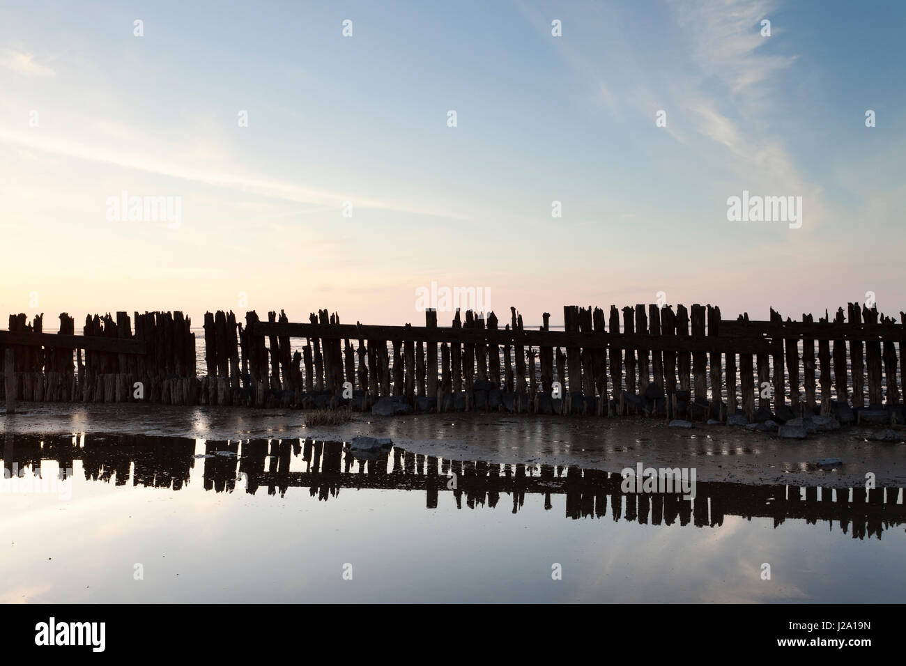 Worn out wooden breakwater in Waddensea at sunset Stock Photo
