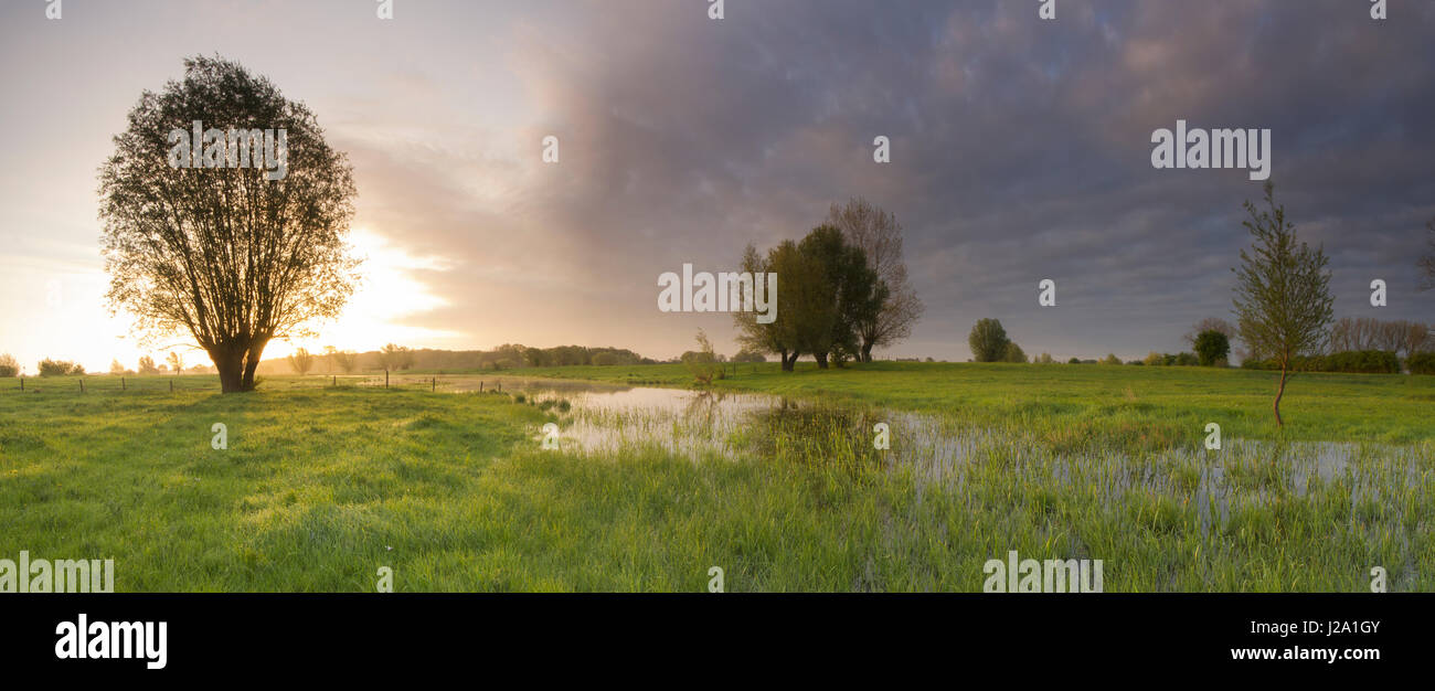 Dark skies in springtime over the forelands of the river IJssel Stock Photo