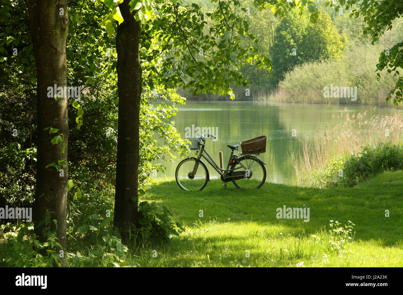 Bicycle parked on a lawn at nature area Oostvaardersplassen'.' Stock Photo