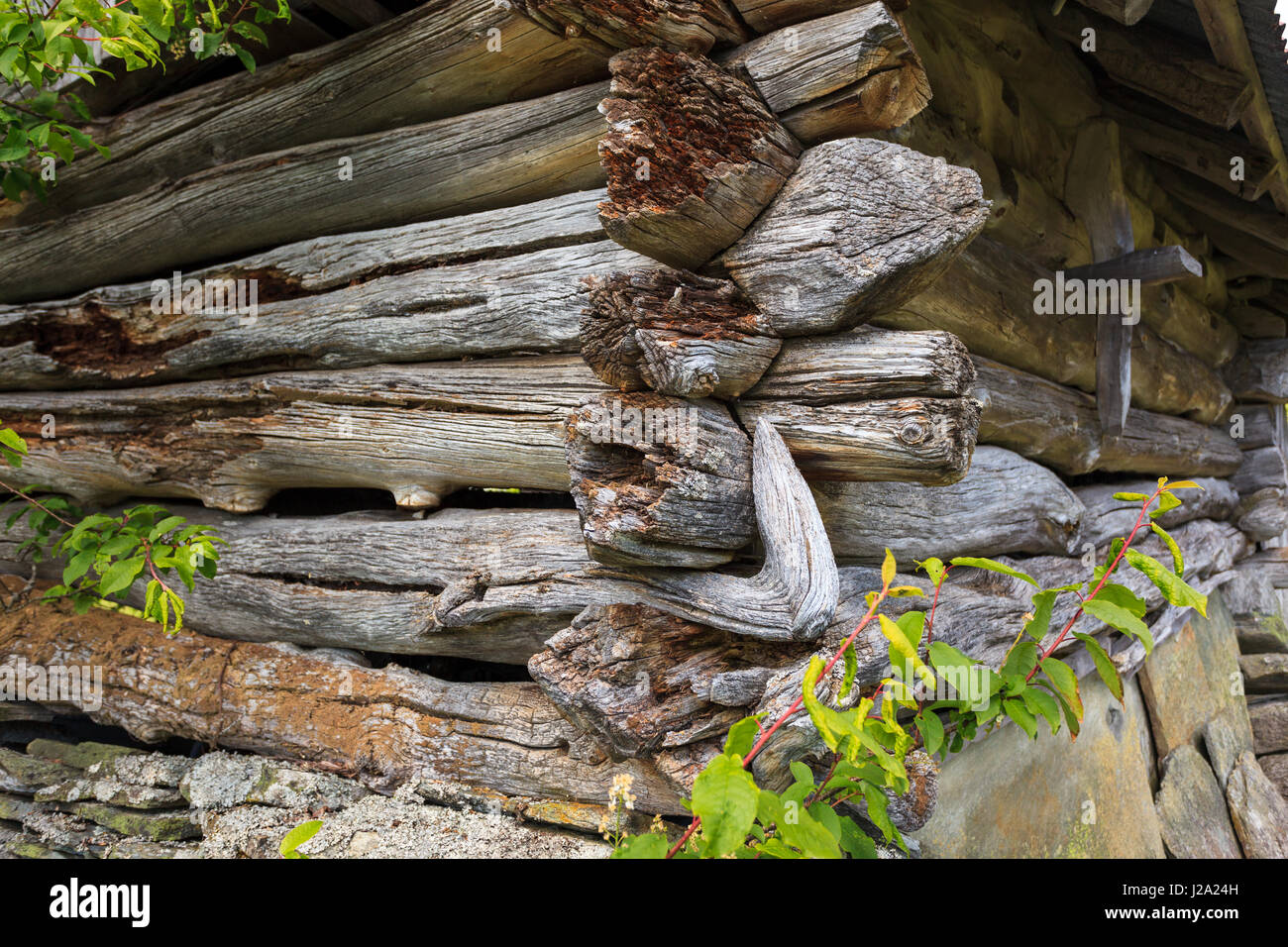An old building of an old notched seals in beautiful natural surroundings. Stock Photo