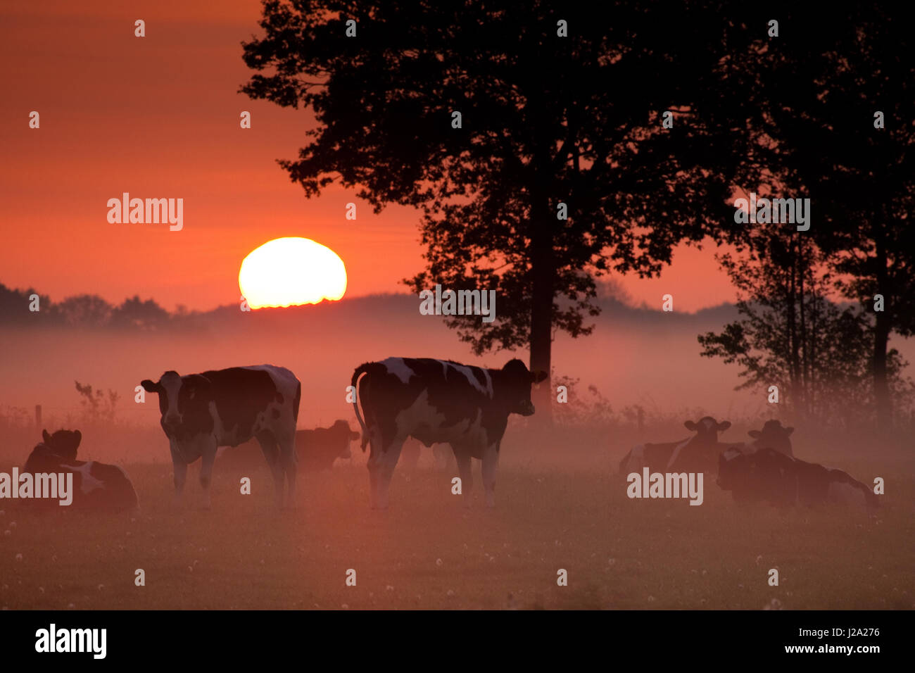 Field wake hires stock photography and images Alamy