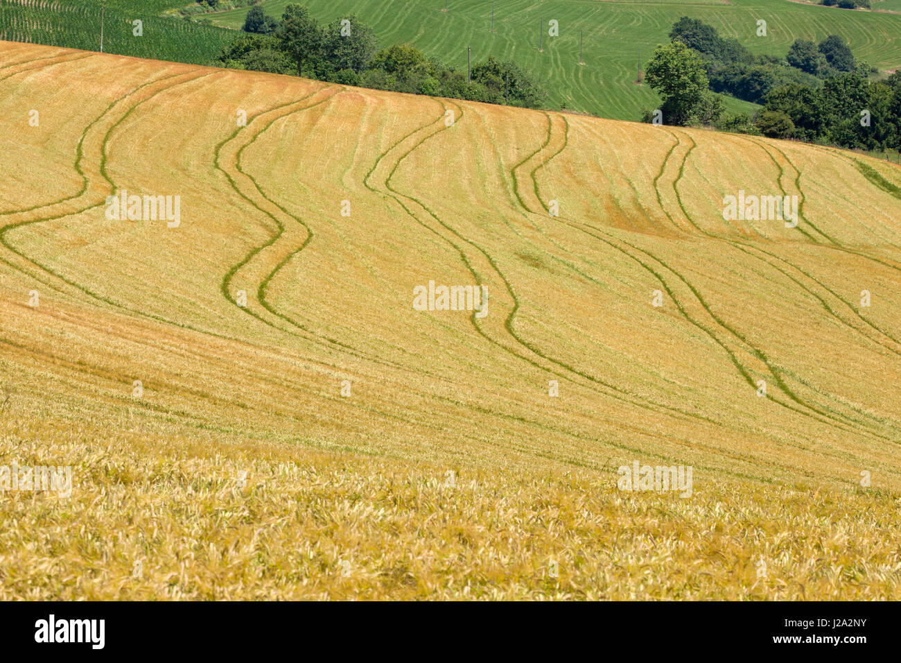Cropland on the hills of Rheinland-Pfalz near Dasburg Stock Photo