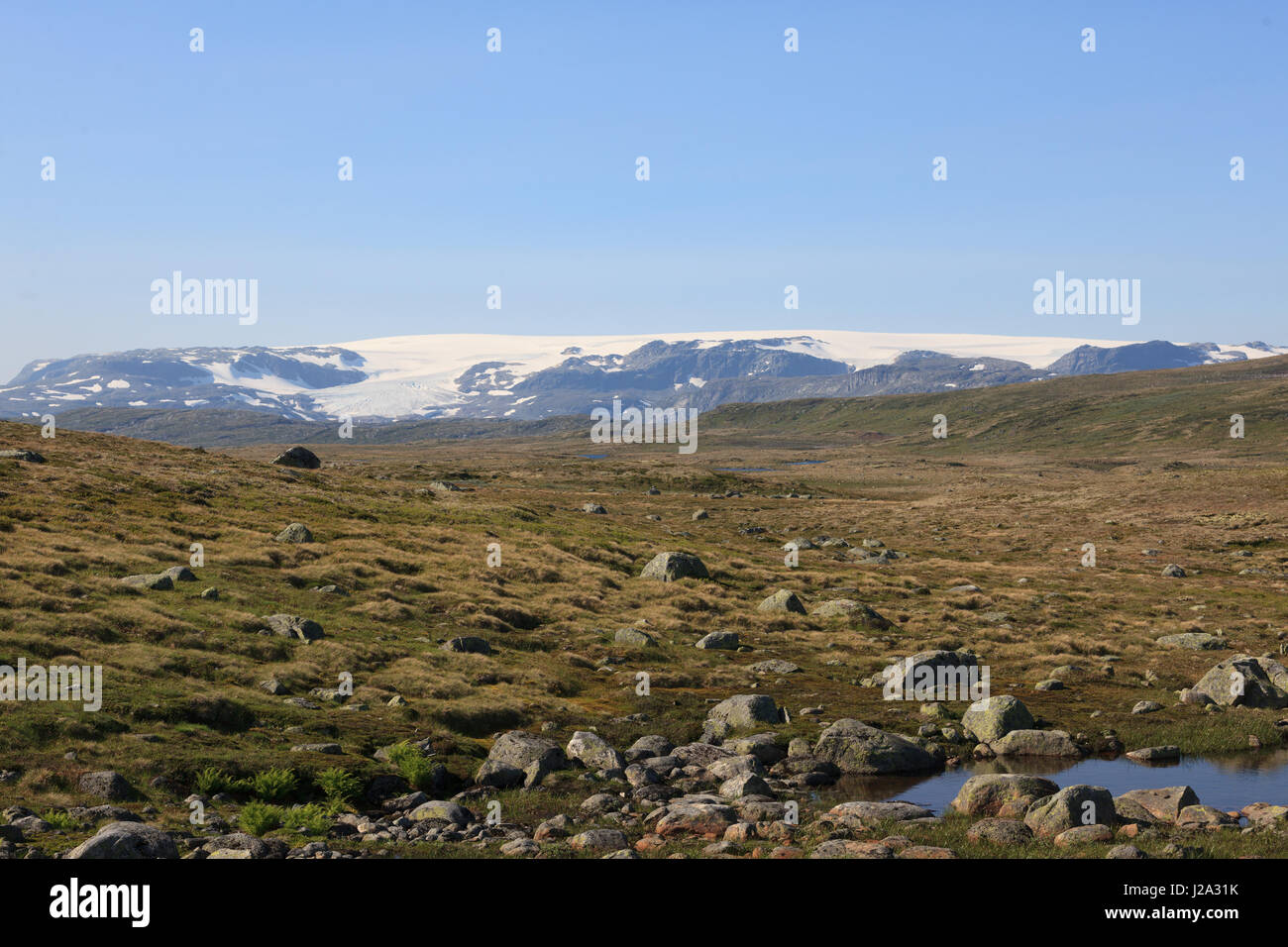 Typical landscape at Hardangervidda, Norway. Stock Photo