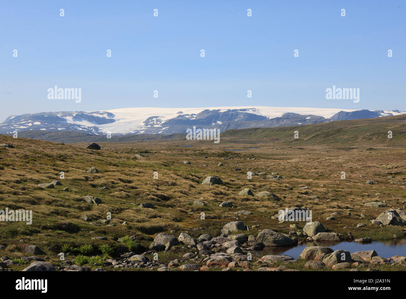 Typical landscape at Hardangervidda, Norway. Stock Photo