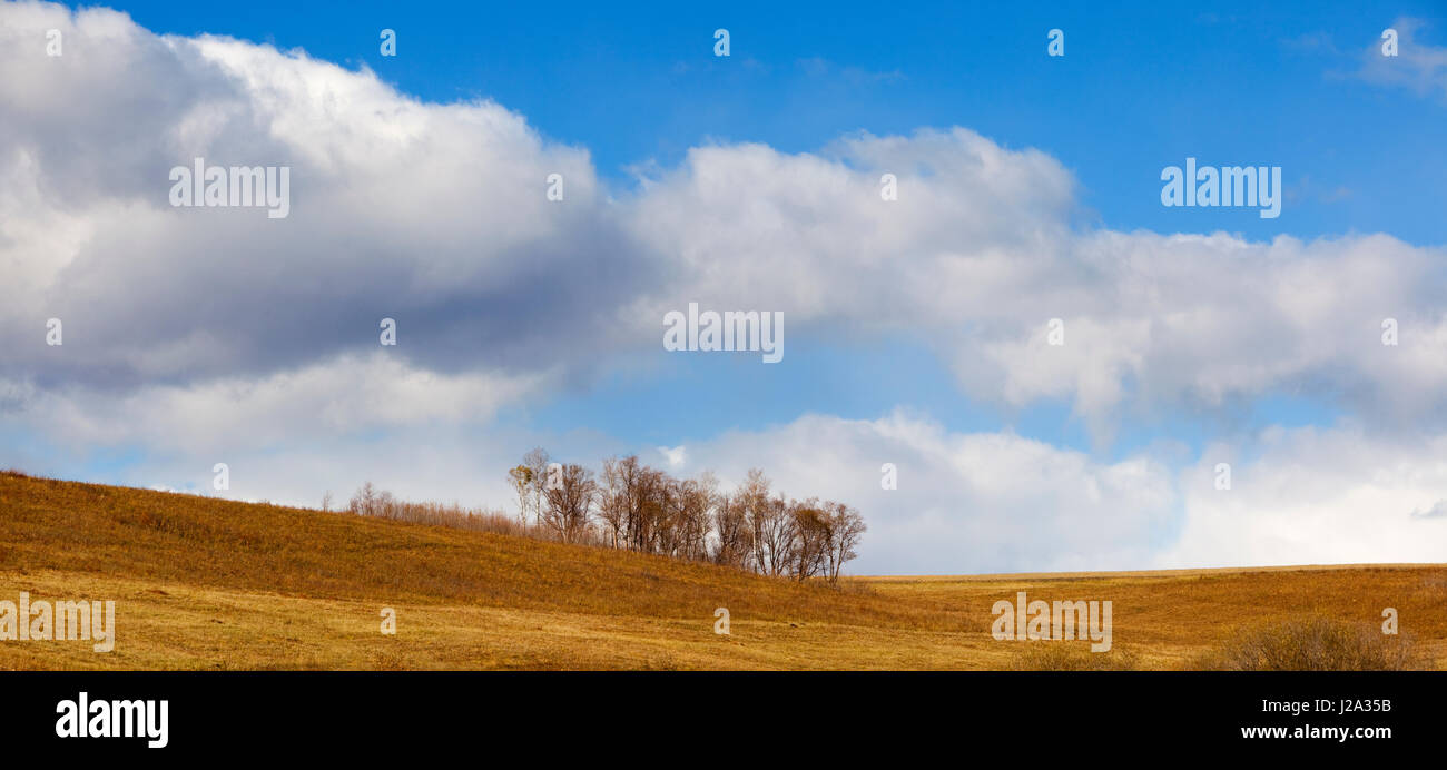 Mongolian steppe with cloudscape in autumn Stock Photo