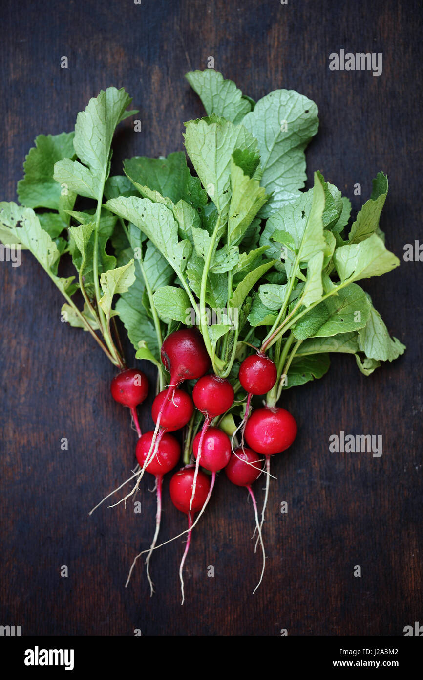 Table Raddish Radish on table. Top view Stock Photo - Alamy