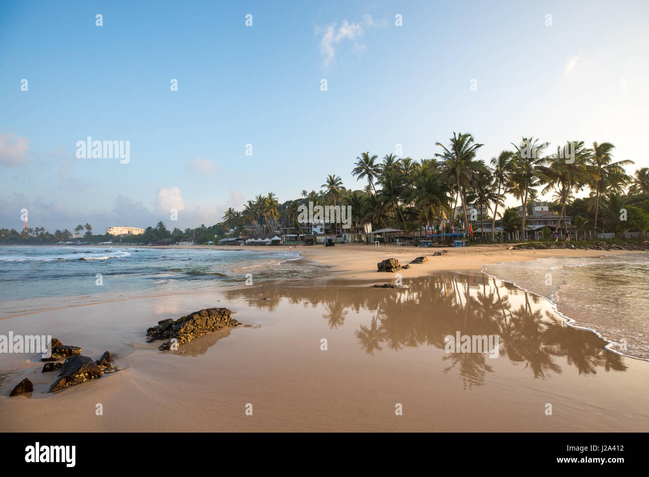 Tropical paradise beach with ocean and palm trees in Mirissa, Sri Lanka. Stock Photo