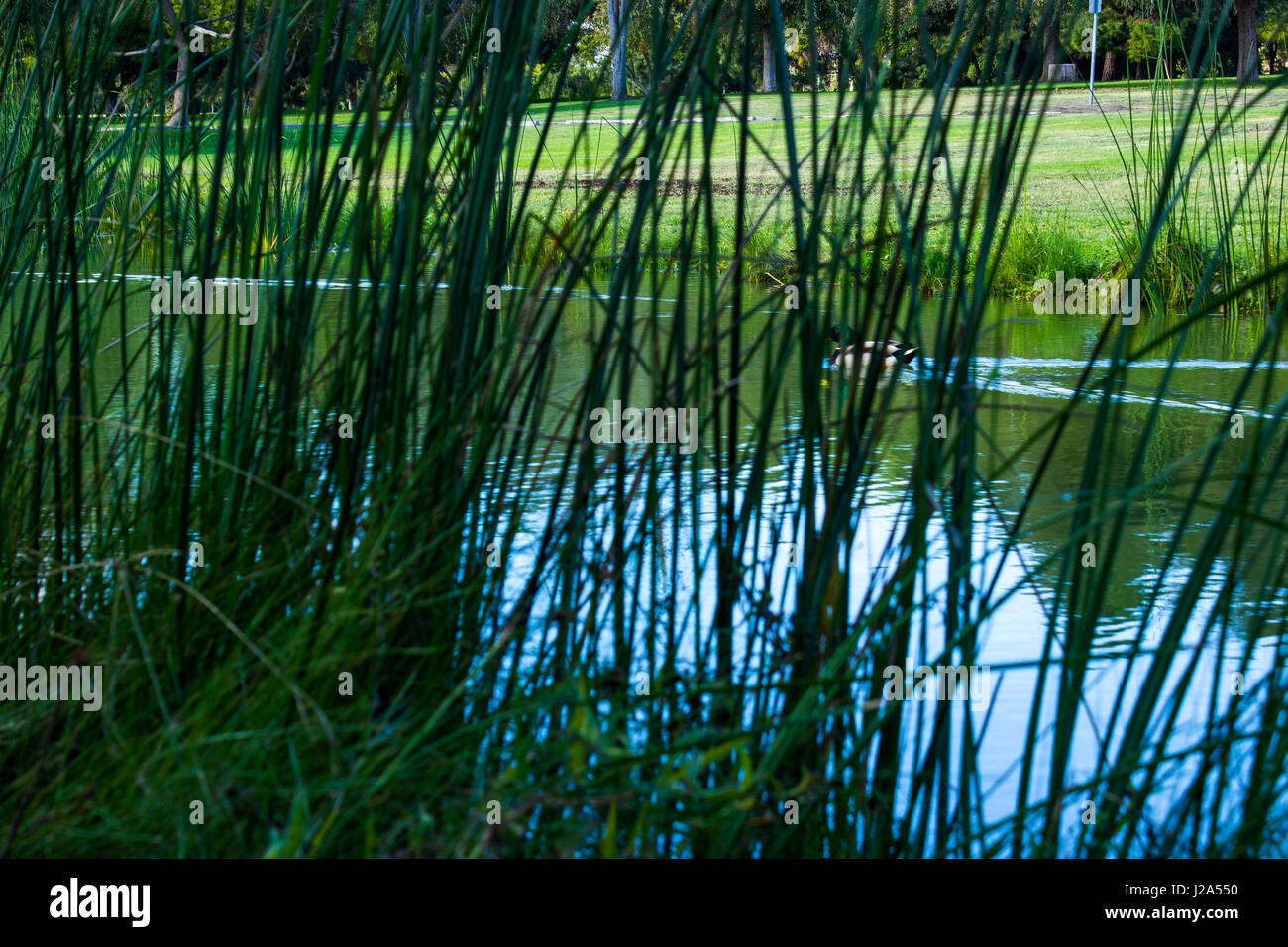 Some of natures beauty Stock Photo