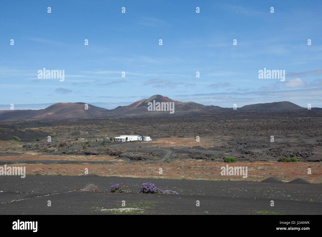 Dry lava landscape on Lanzarote. Stock Photo