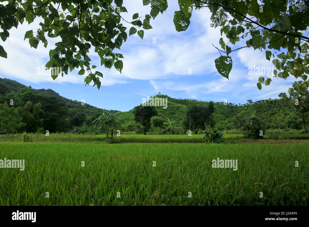 Landscape view of the Khoiyachara area at the Mirsharai Upazila in Chittagong, Bangladesh. Stock Photo