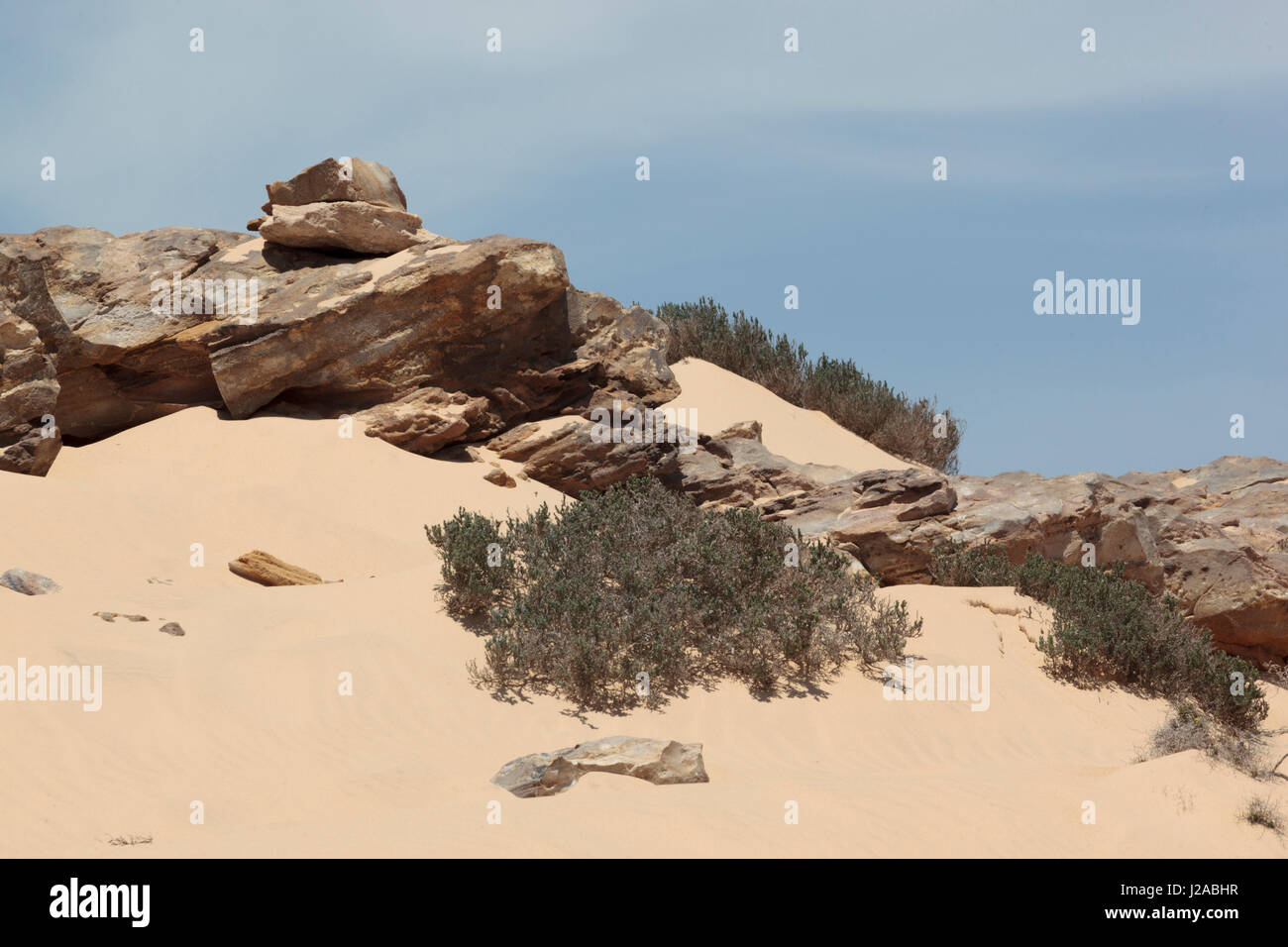 Dirsha Rocks Africa, Western Sahara, Dakhla. Rock formation and shrubs in a desert ...