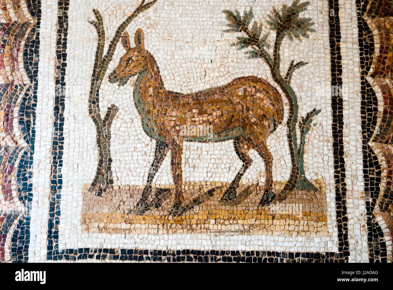 Deer Rome Roman Mosaics Deer High Resolution Stock Photography and Images - Alamy