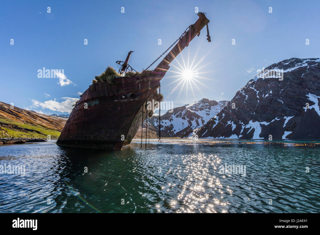 Ocean Harbor, South Georgia Island. The shipwreck Bayard on beach at ...