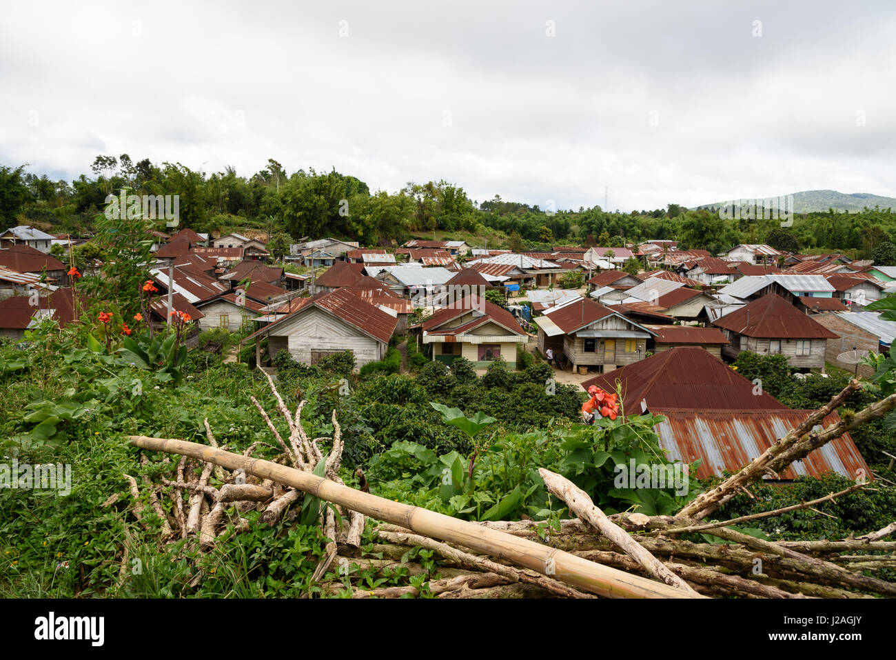 Indonesia, Sumatera Utara, Kabul Check, Batak Village. The Batak are