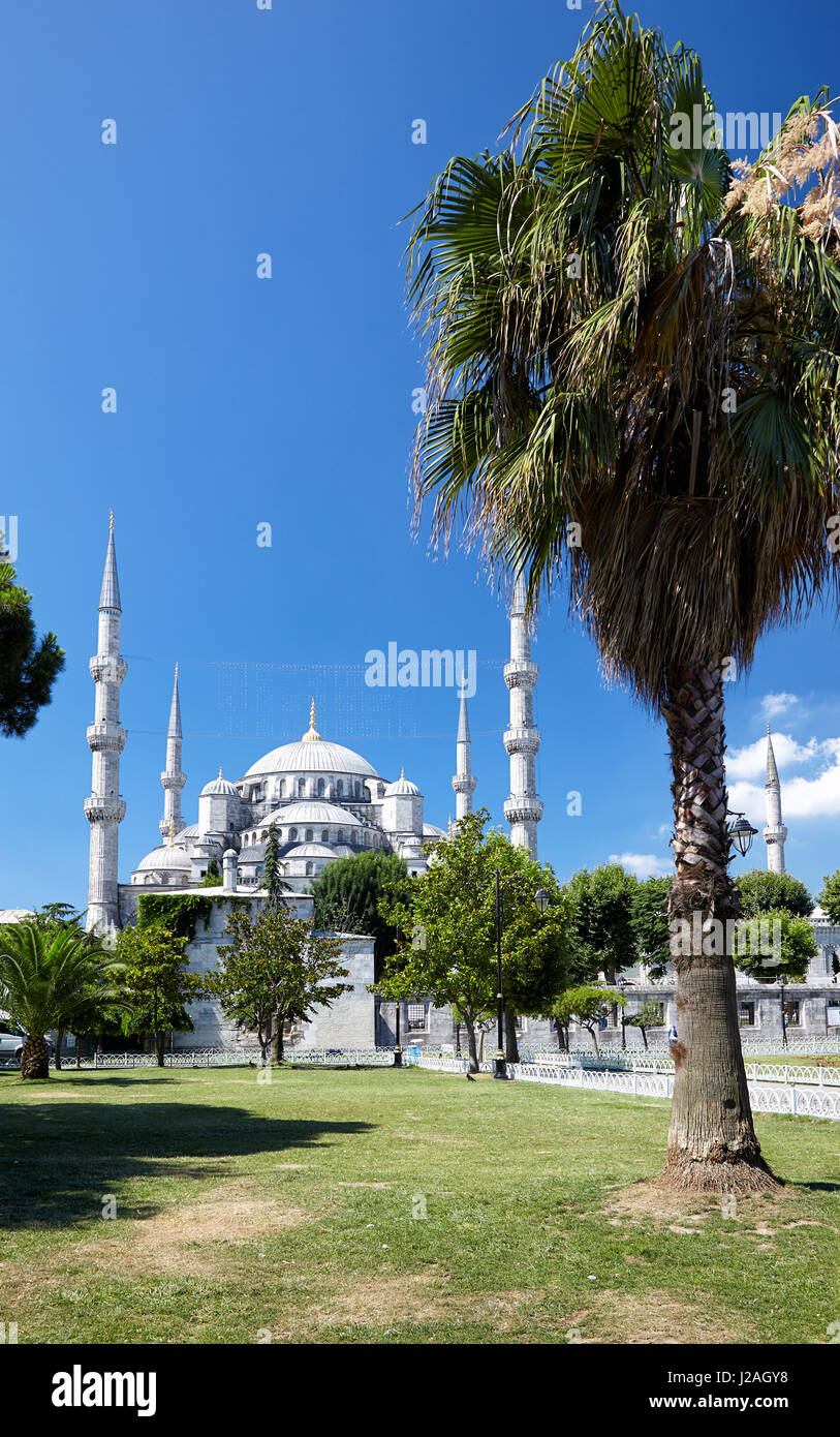 The view of Sultan Ahmed Mosque - Blue Mosque from Sultan Ahmet Park ...