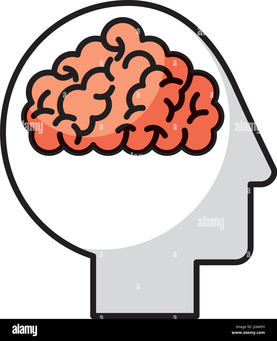 human head profile with brain Stock Vector Image & Art - Alamy