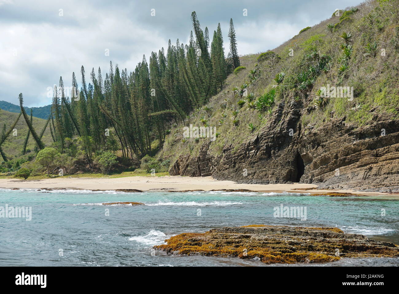 New Caledonia coastal landscape, cliff and beach with Araucaria pines in Turtle bay, Bourail, Grande Terre island, south Pacific Stock Photo