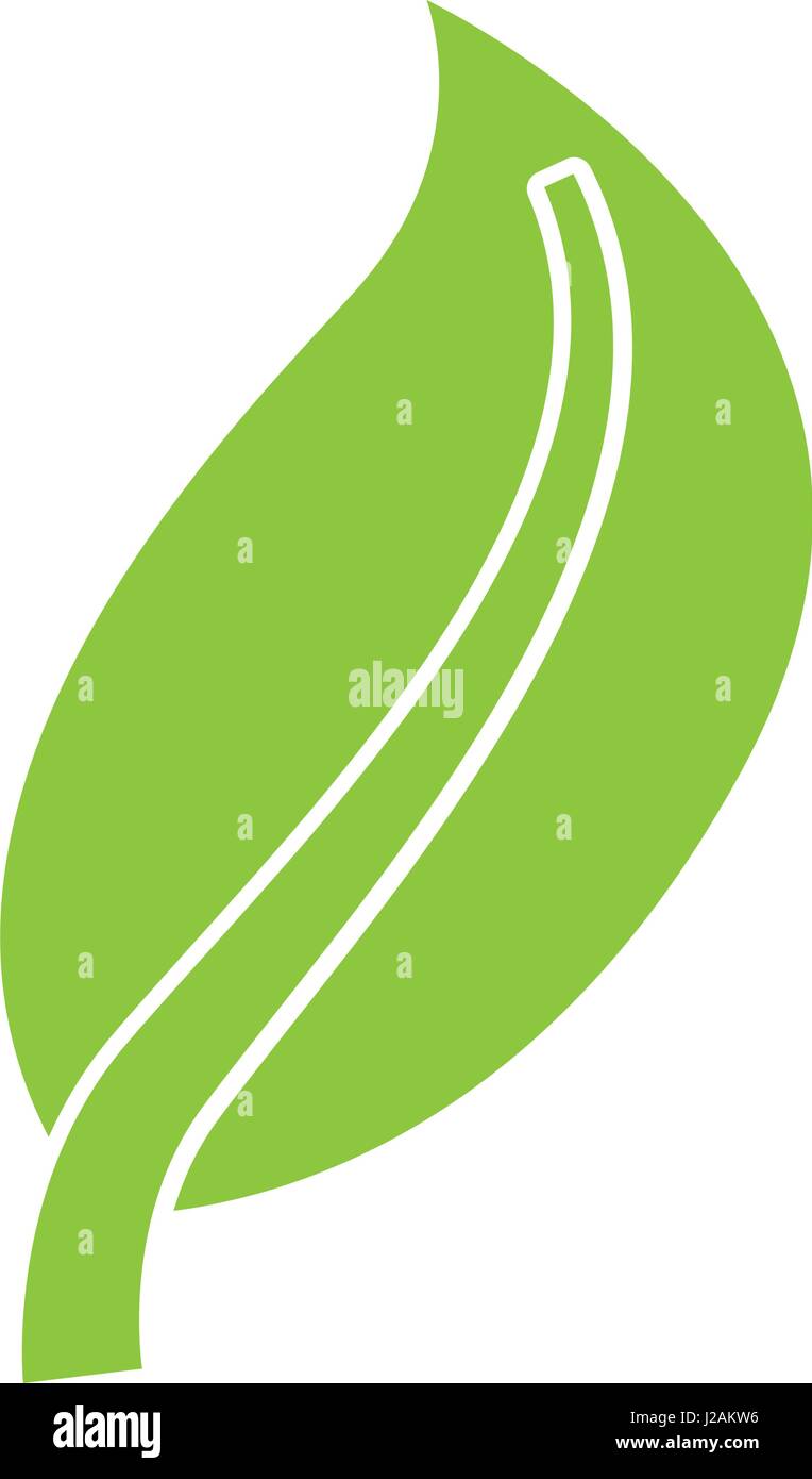 leaf plant isolated icon Stock Vector Image & Art - Alamy