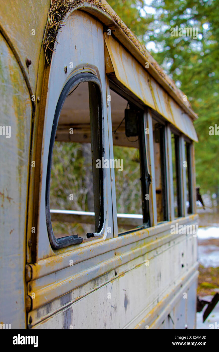 Stripped abandoned bus at a hunters camp on crown land. Stock Photo