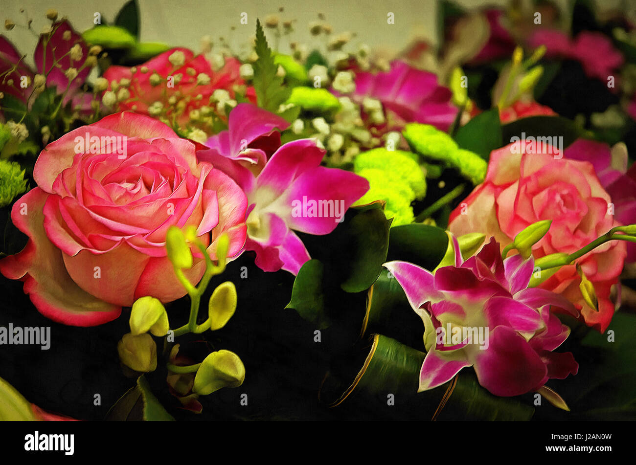 Illustrations flowers, bouquet, painting, roses, pink roses, painting roses, watercolor, Rose, (Latin Rosa), Chrysanthemum Stock Photo