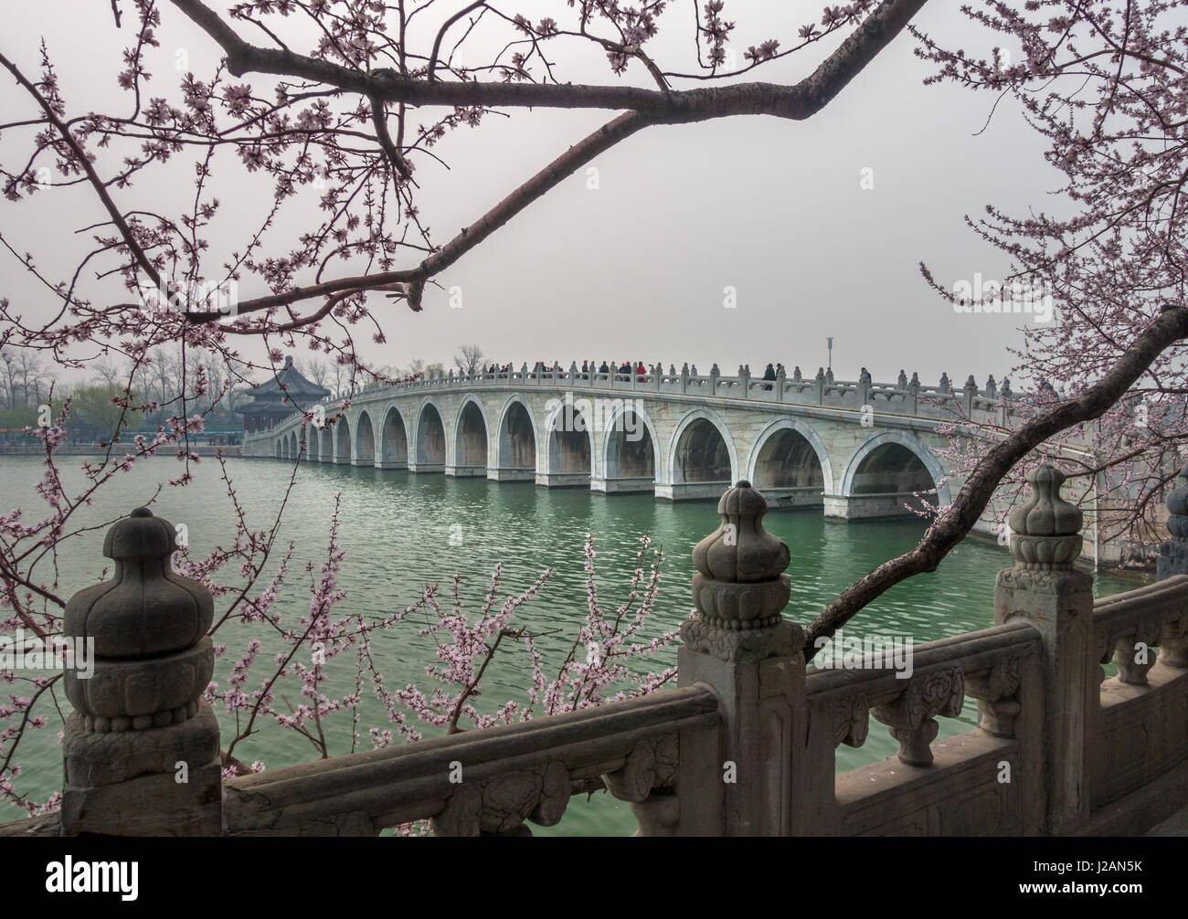 17 arch bridge with pink blossom in spring, Summer Palace, Kunming Lake, Beijing, China Stock Photo