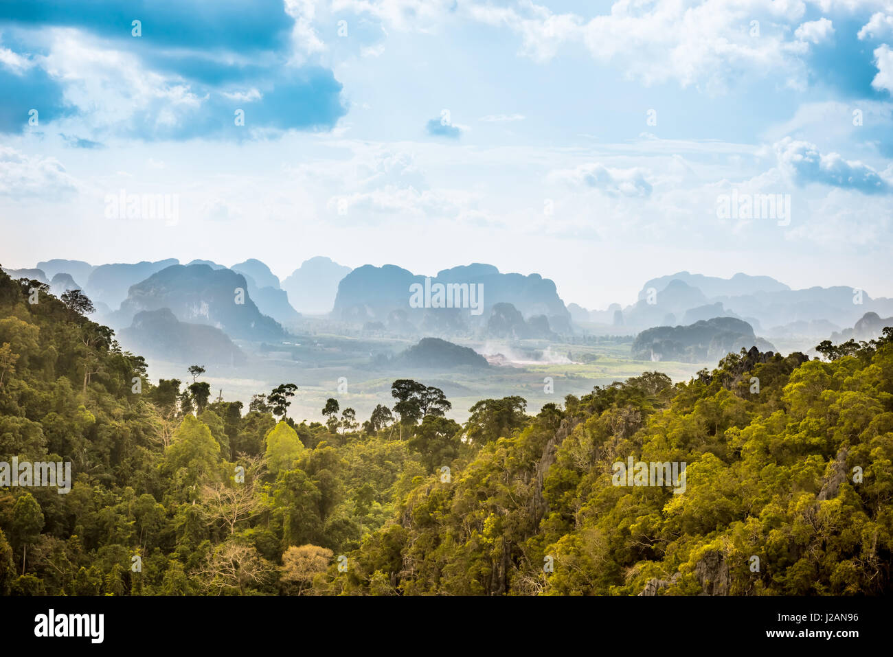 rain forest in Thailand Stock Photo