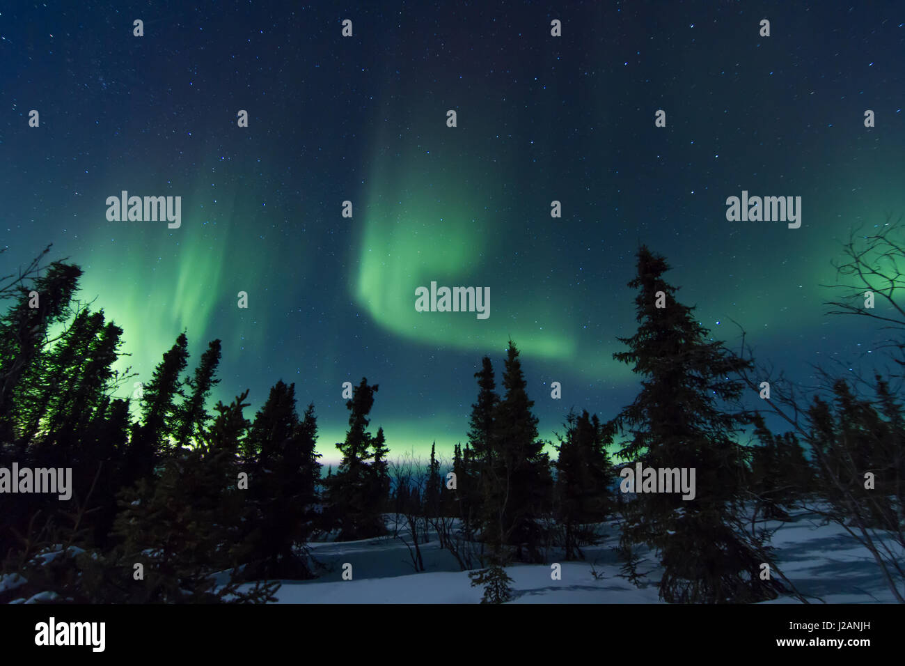 Northern lights (aurora borealis) near Anchorage, Alaska Stock Photo