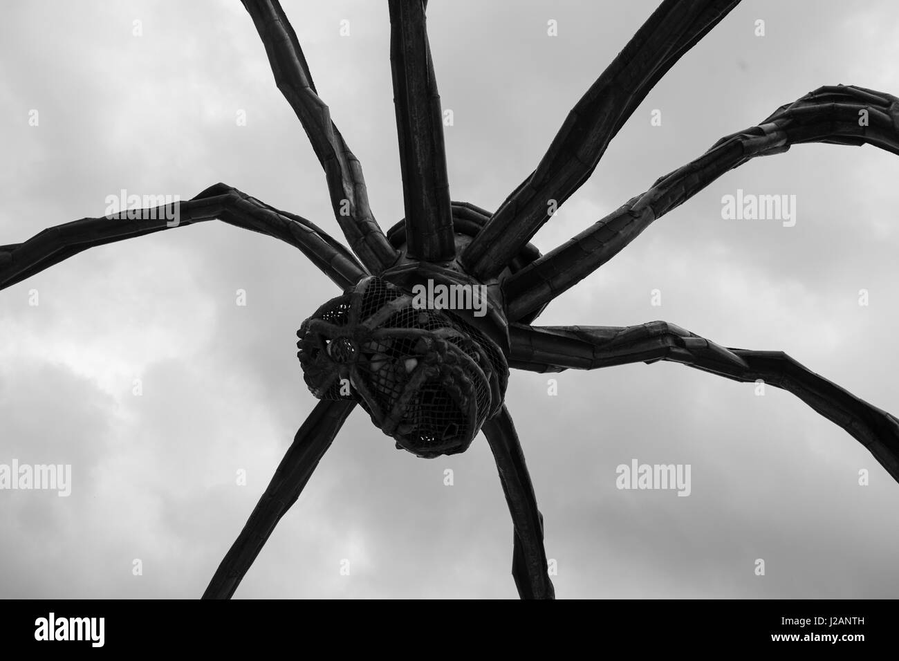 Maman Spider Sculpture Black And White Stock Photos Images Alamy