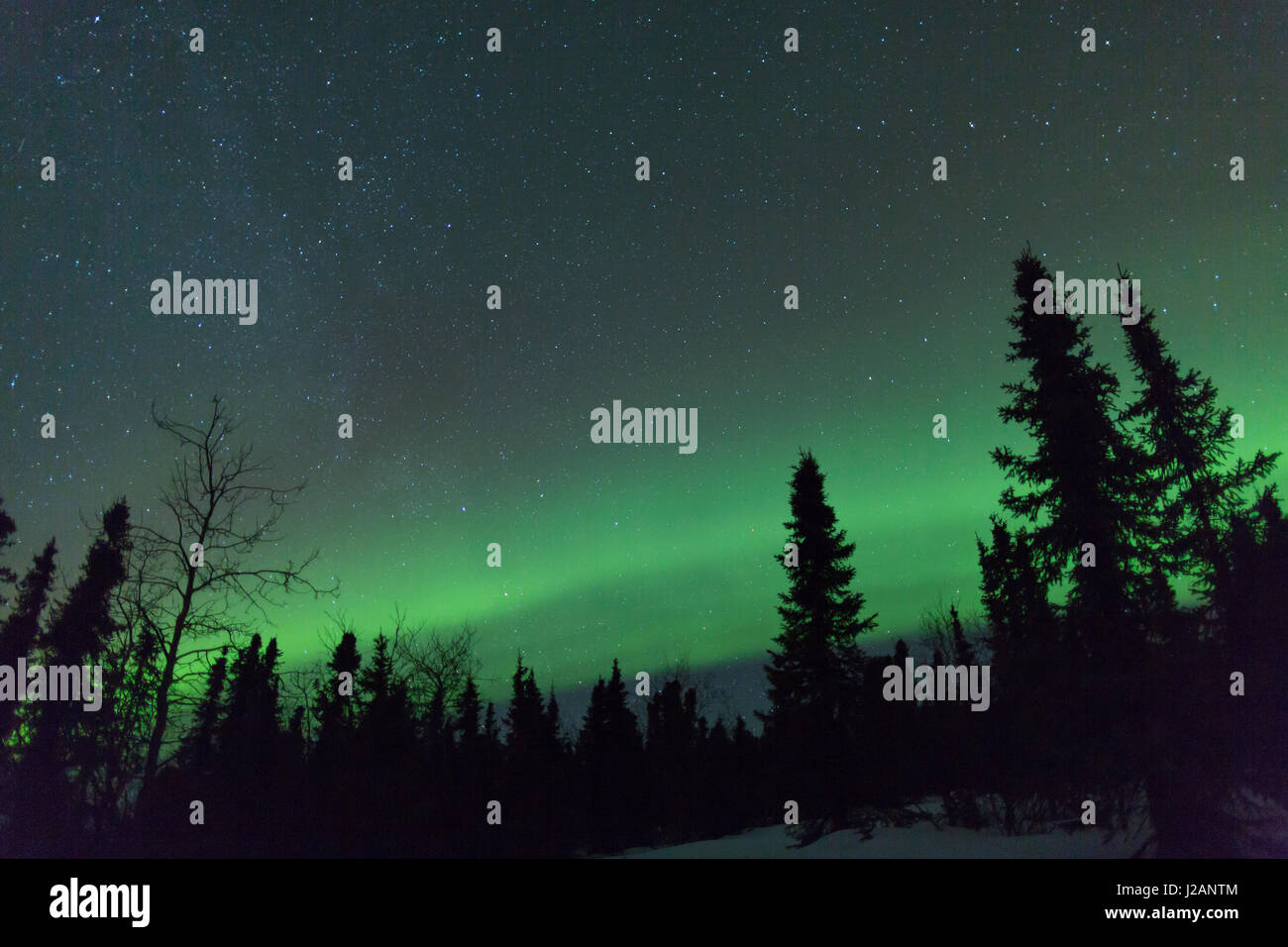 Northern lights (aurora borealis) near Fairbanks, Alaska Stock Photo