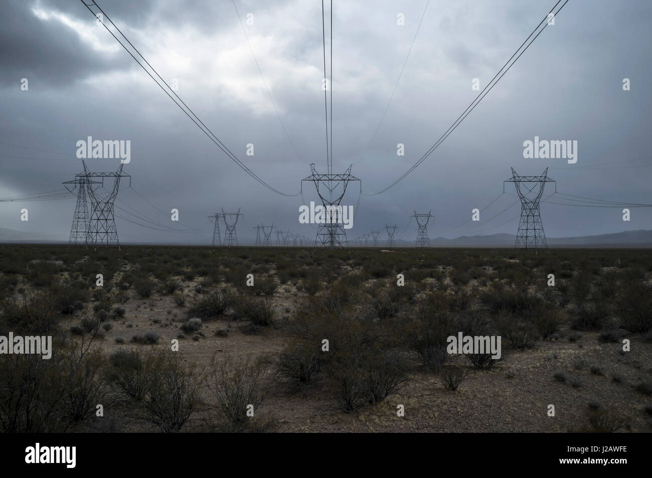 Electricity pylons and plants in field against cloudy sky Stock Photo ...