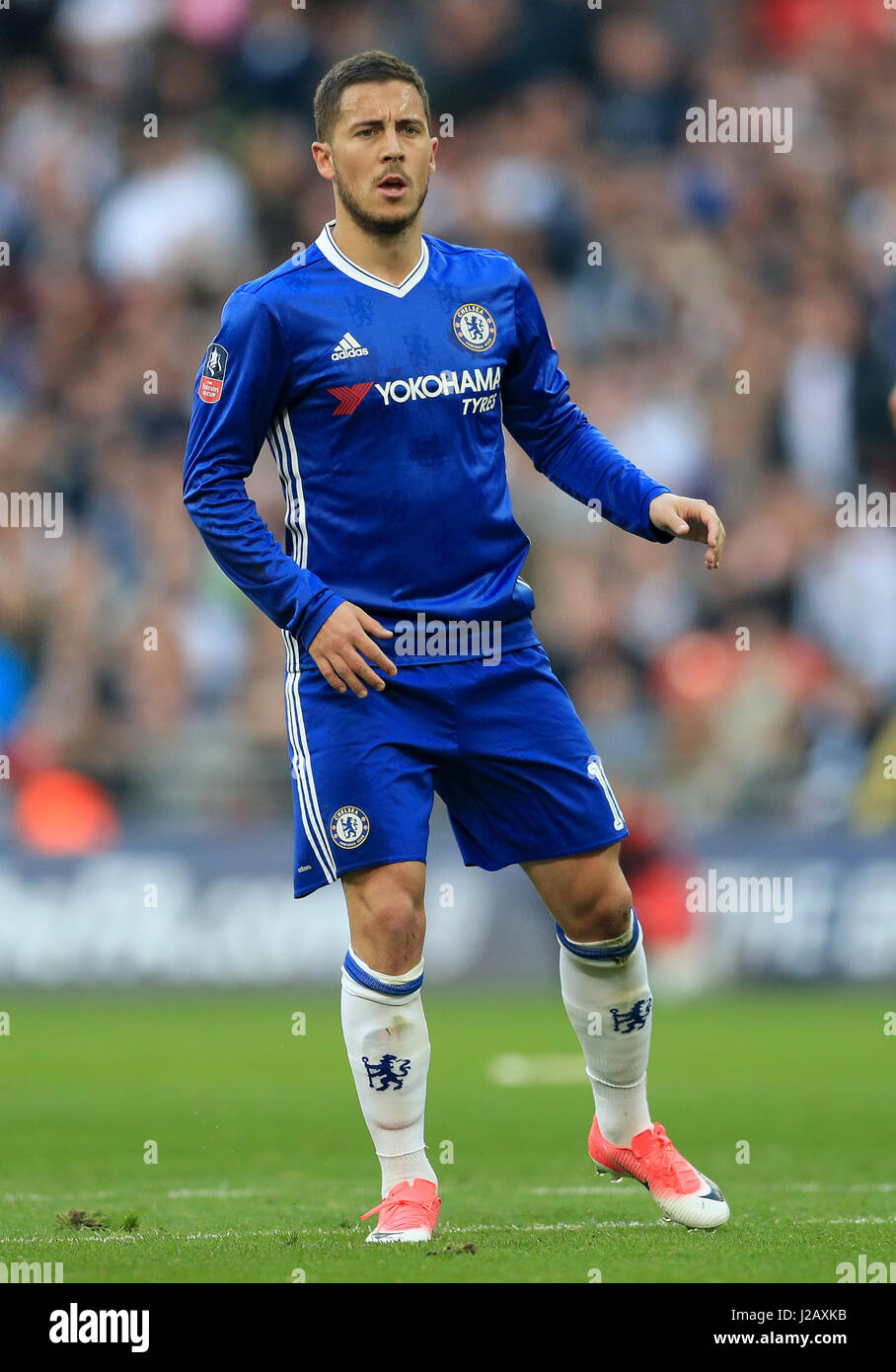 Eden Hazard, Chelsea Stock Photo Alamy