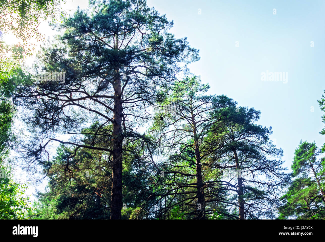 High clear sky hi-res stock photography and images - Alamy
