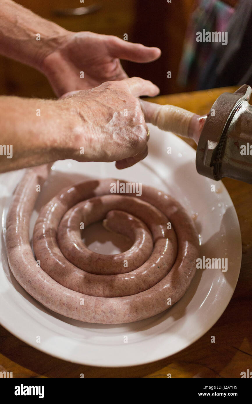 Cropped image of man making sausages in machinery Stock Photo