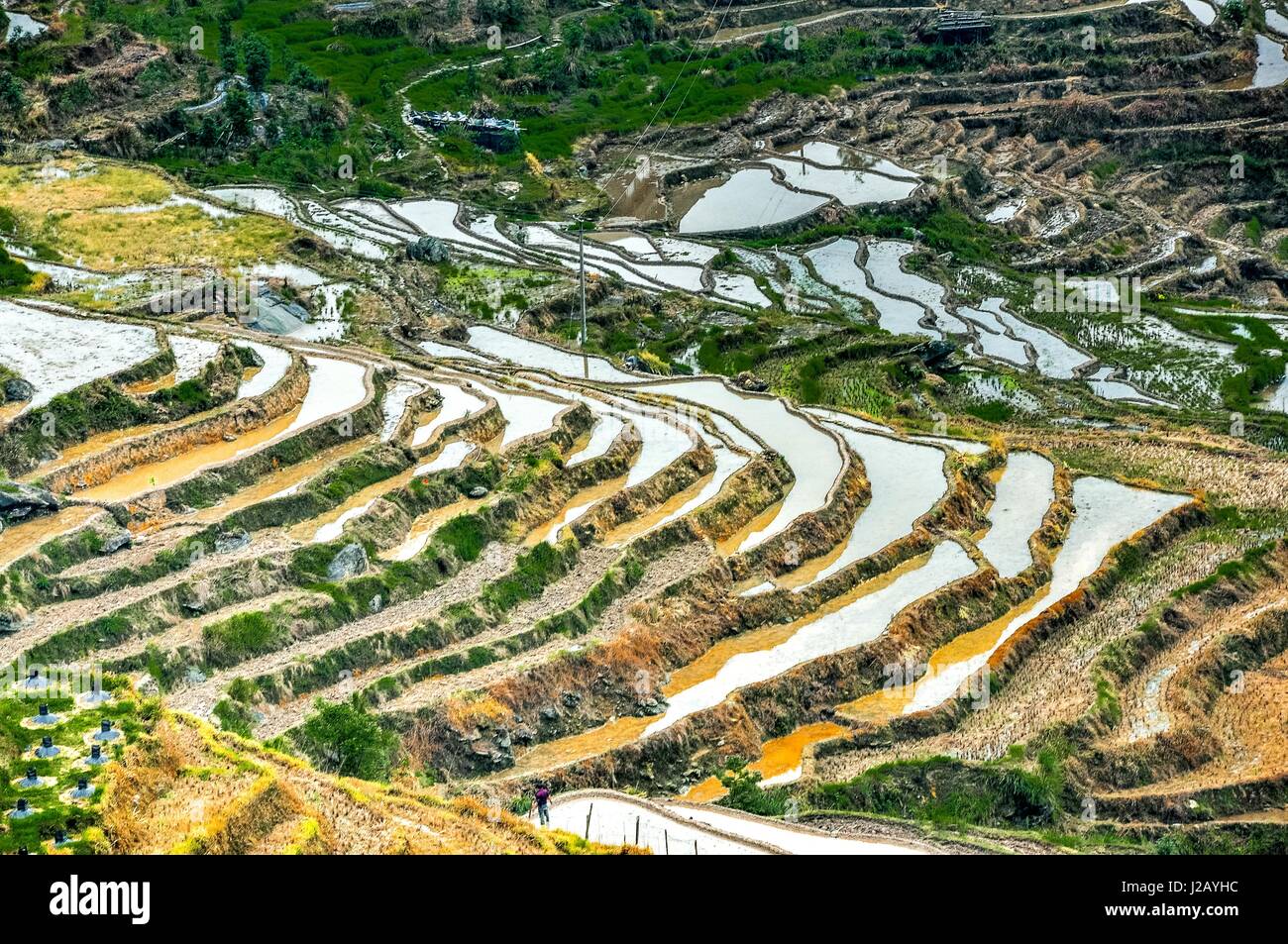 Colorful Terrace Rice Field Colorful rice terrace hi-res stock photography and images - Alamy