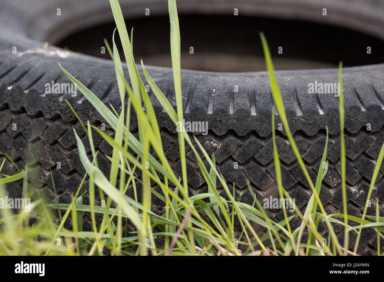 car tire on the green grass Stock Photo Alamy