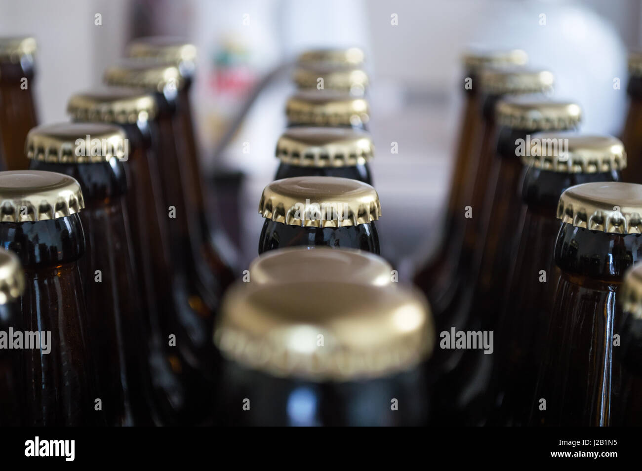 Beer Bottles in a Row Background Stock Photo