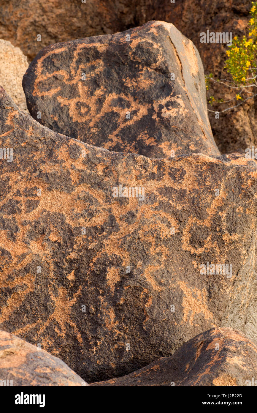 Petroglyphs, Painted Rock Petroglyph Site, Juan Bautista De Anza ...